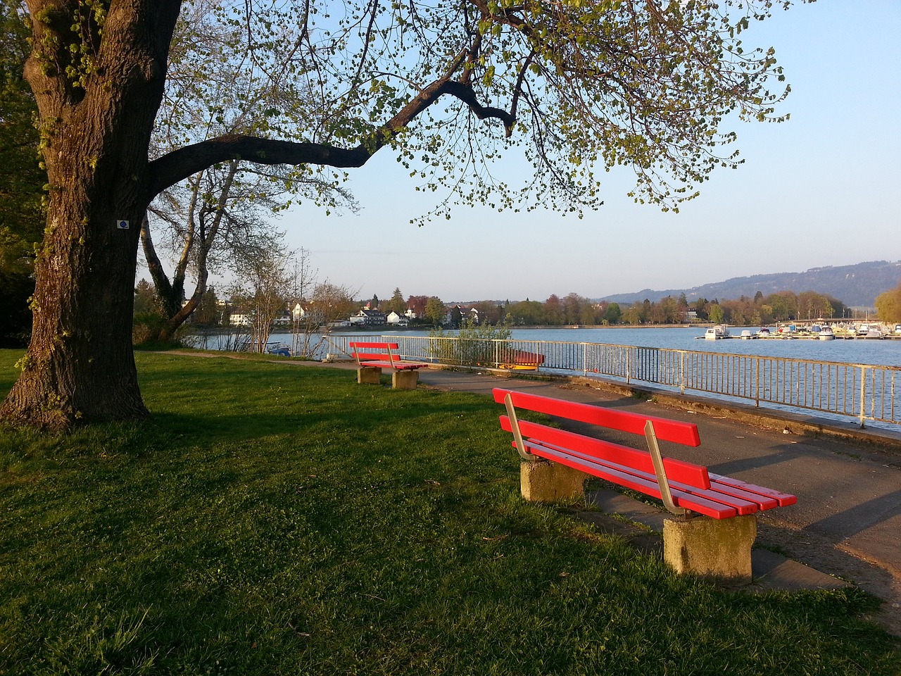 萊斯这样优 萊斯这样优