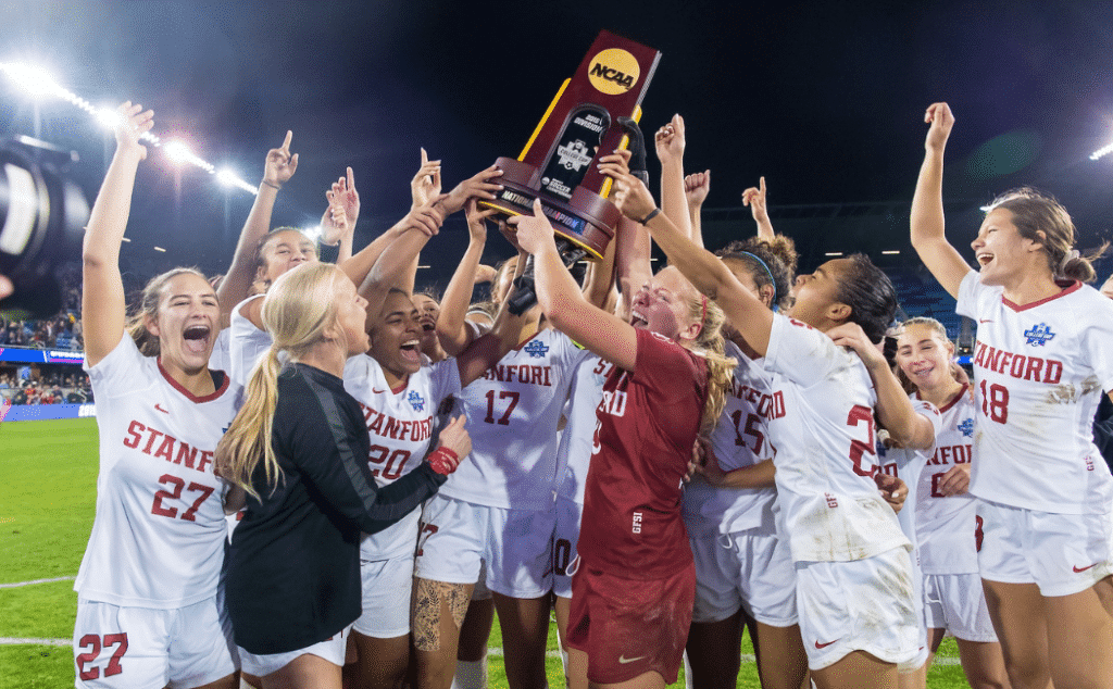 在此过程中 在此过程中