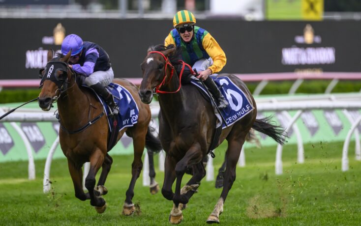 构筑了一道 构筑了一道