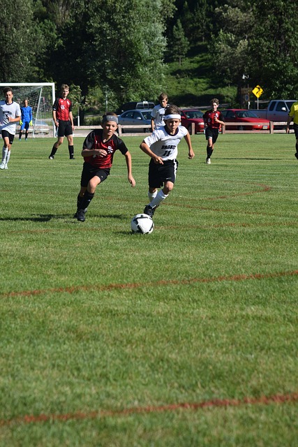 凭借丰富的 凭借丰富的